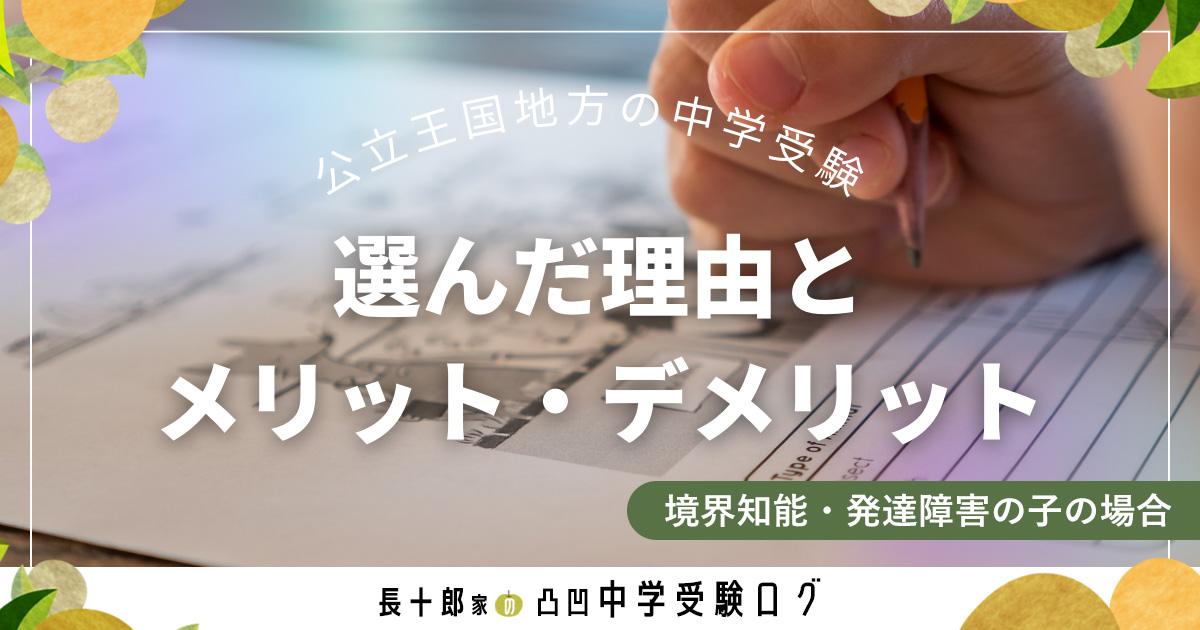 地方で中学受験を選んだ理由とメリット・デメリット【発達障害・境界知能の子の場合】　アイキャッチ